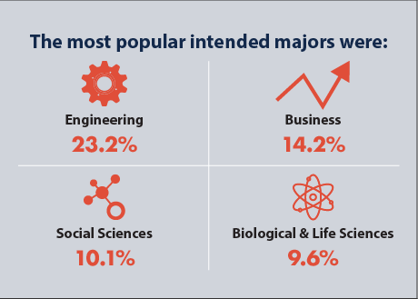 Infographic showing the most popular intended majors.